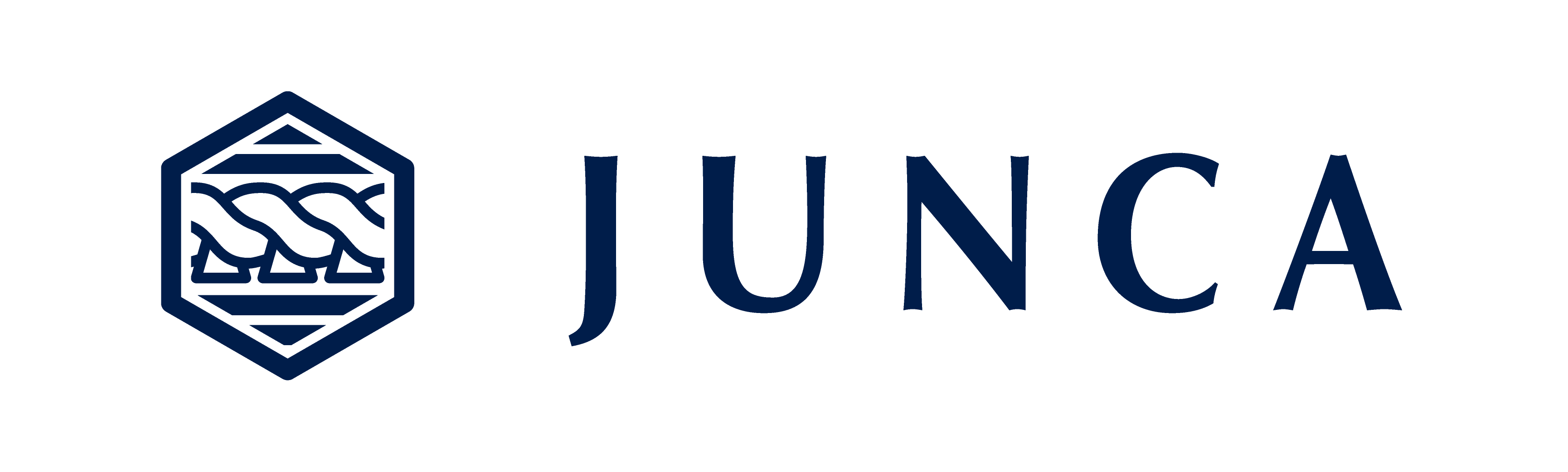 Ethereum Bridge official JUNCA identity
