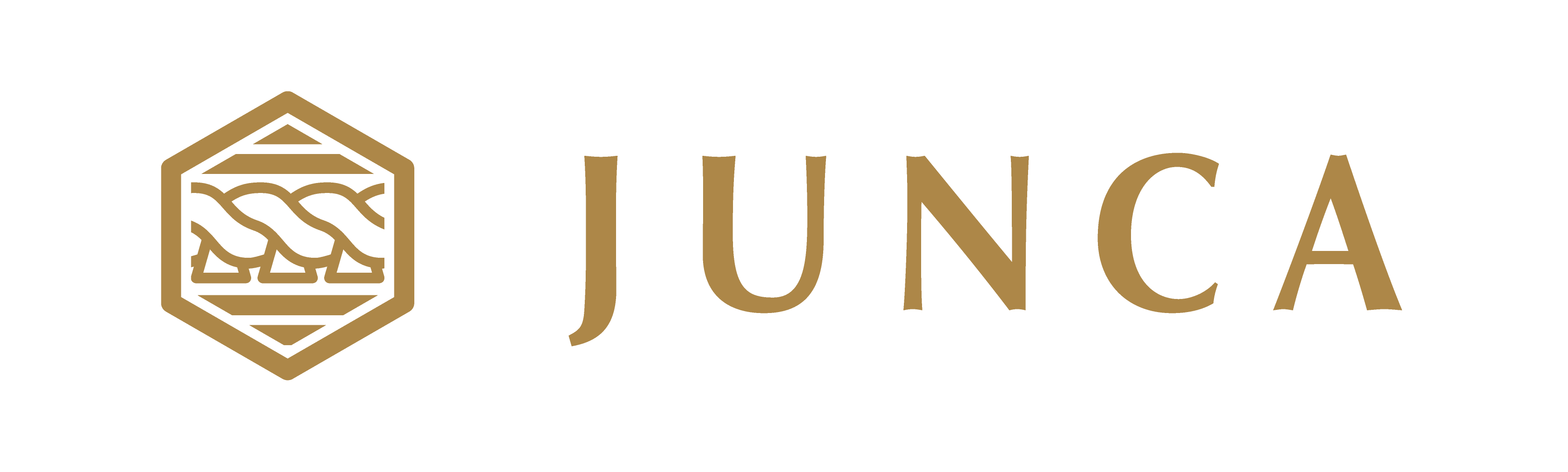 BNB Smart Chain Bridge official JUNCA identity