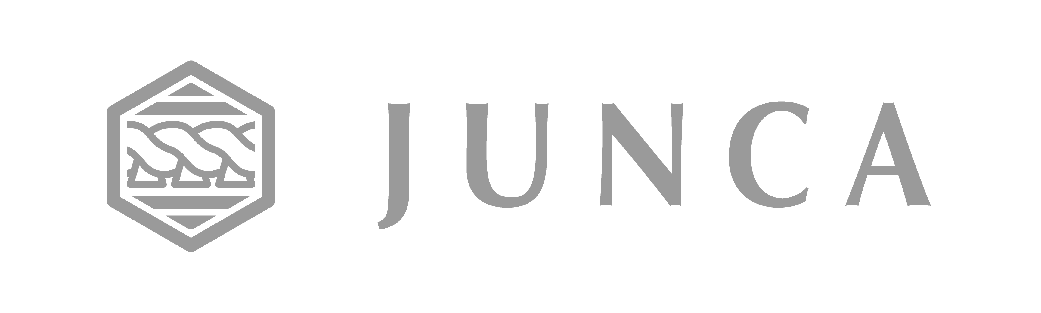 JUNCA SOCIAL ECOSYSTEM CHAIN（SE BASE）
